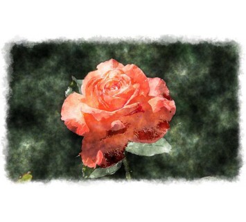 Репродукция №81