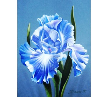 Репродукция №327