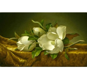Репродукция №497