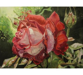 Репродукция №516
