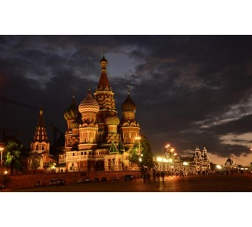 Репродукция №567