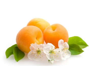 Репродукция №359
