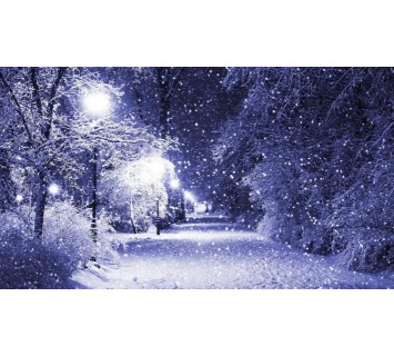 Репродукция №335